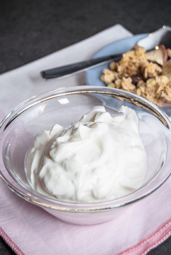Yogurt greco fatto in casa