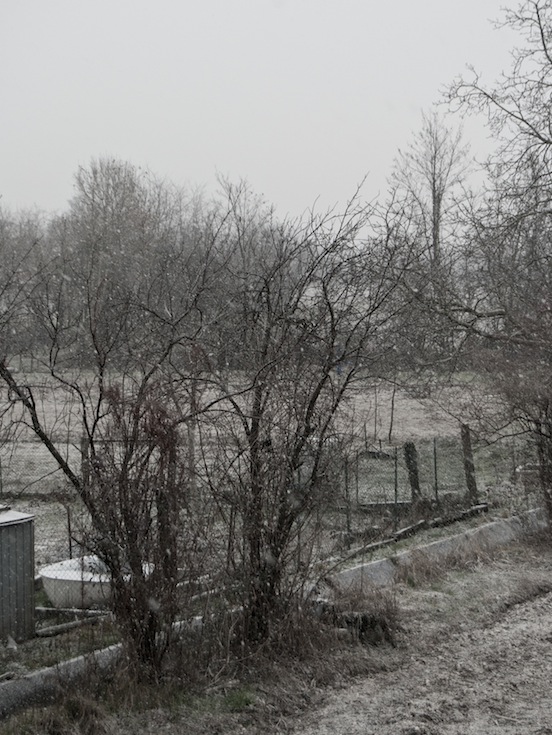 Paesaggio rurale in piena nevicata