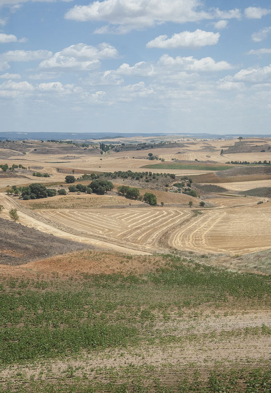 Paesaggio nel tragitto Albacete-Madrid in corriera